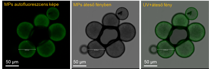 Polietilén (PE) szemcsék mikroszkópos képe 40x-es nagyításban (lézer konfokális mikroszkóp, saját felvétel)