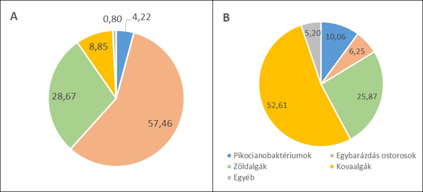 2. ábra. Az algaközösség összetétele a Siófoki-medence nyíltvizében 2023.02.21-én (A) és 2023. 04. 18-án (B)