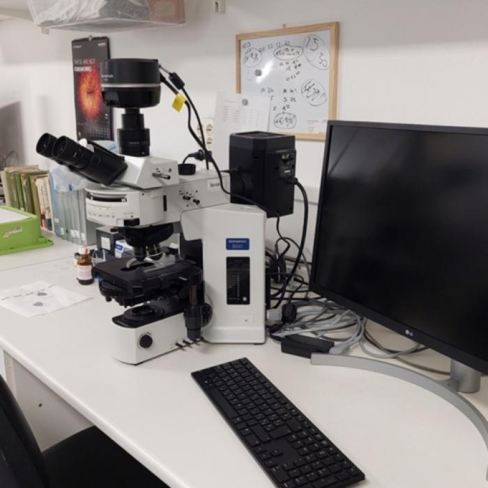 Infrakamerával felszerelt epifluoreszcens mikroszkóp