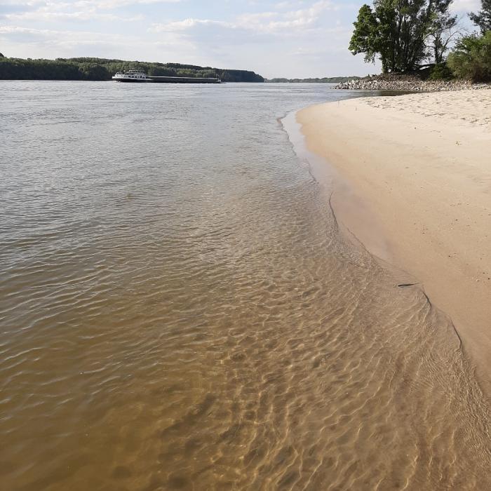 A magyarországi alsó Duna szakaszt jellemző élőhely sarkantyúval és az alatta kialakuló homokpaddal. 