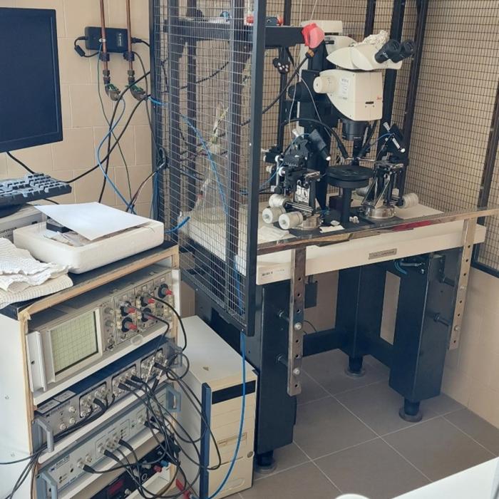 Elekrofiziológiai laborberendezés- Mikroelektrofiziológiai mérőállás és FlexaCam C5 kamerával felszerelt M205C sztereomikroszkóp
